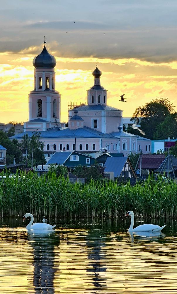 Валдайские лебеди