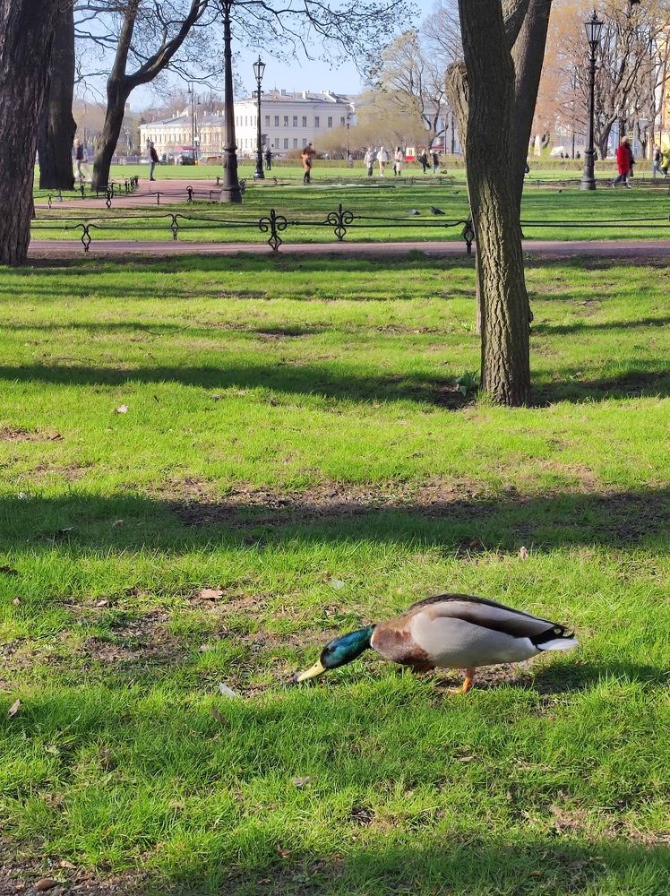 Photograph by Evgenia Korchagova