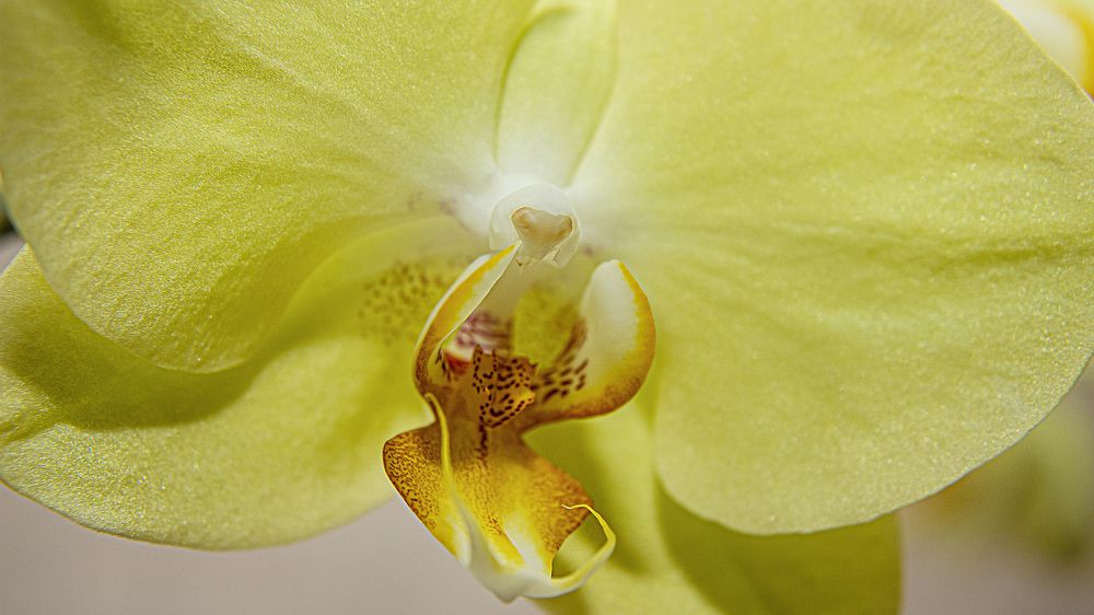 Photograph by Любовь Перевозникова