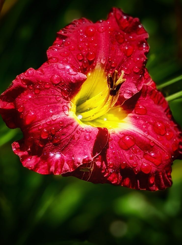 Фотография автора Evgeniya Ivanova