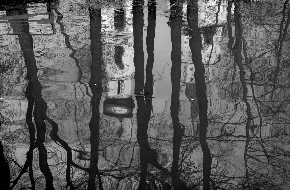 Фотография автора Владимир