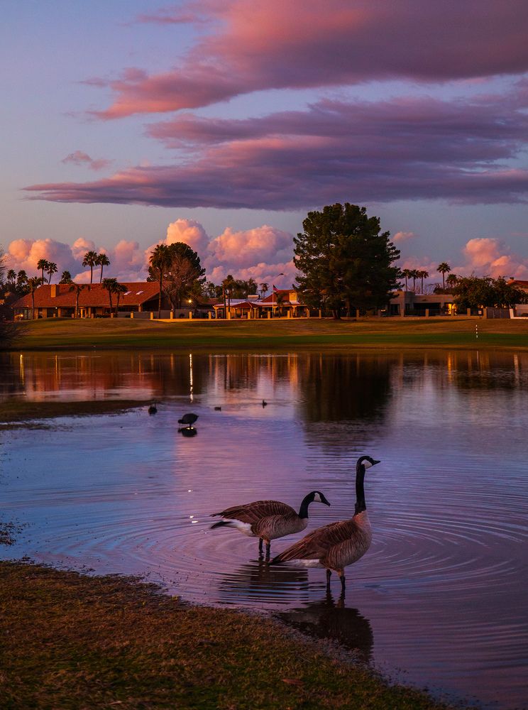 Photograph by Anferow Lana