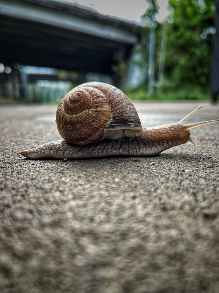 Photograph by Мария Поливода