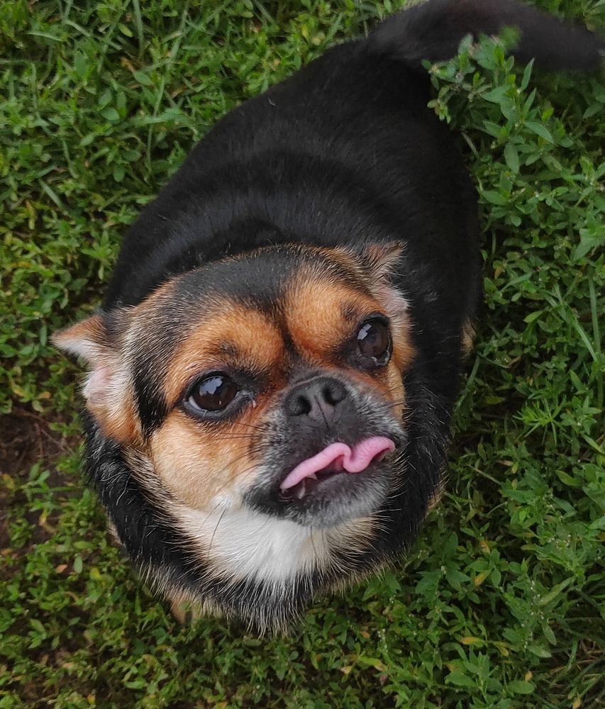 Photograph by Елена Попова