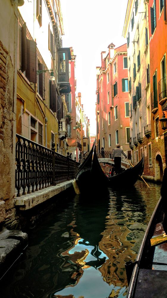 Фотография автора ANA  LIA