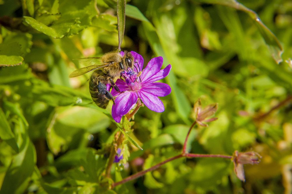 Photograph by Alexandros Melidis