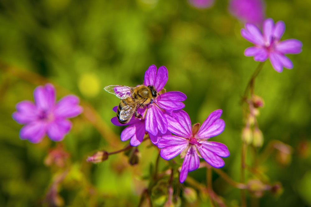 Photograph by Alexandros Melidis