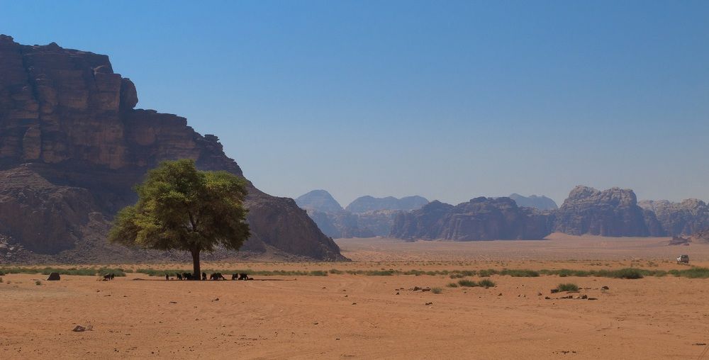 Photograph by Мозжухин Максим