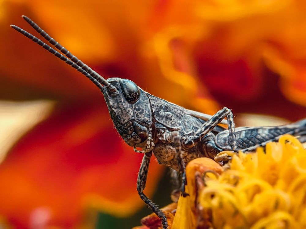 Photograph by Юлия Локтева