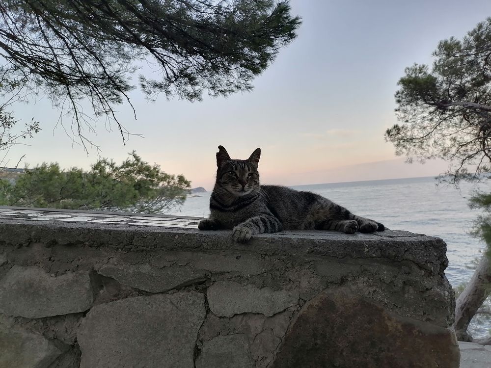 Photograph by Константин