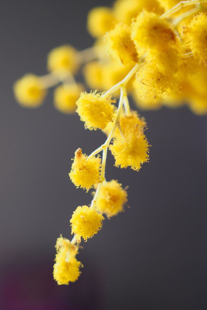 Photograph by Шейко Анна