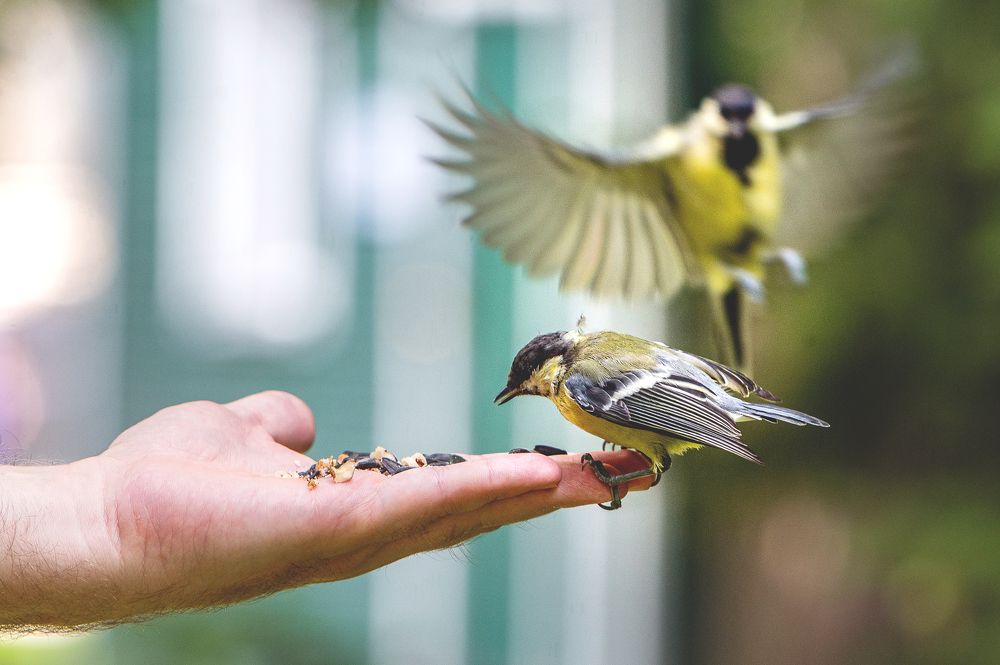 Photograph by Мария Новоселецкая