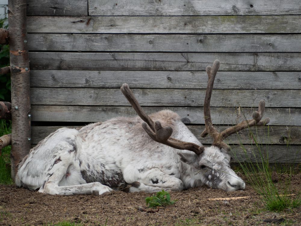 Photograph by Шейко Анна