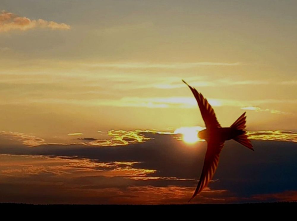 Photograph by Елена Никитина