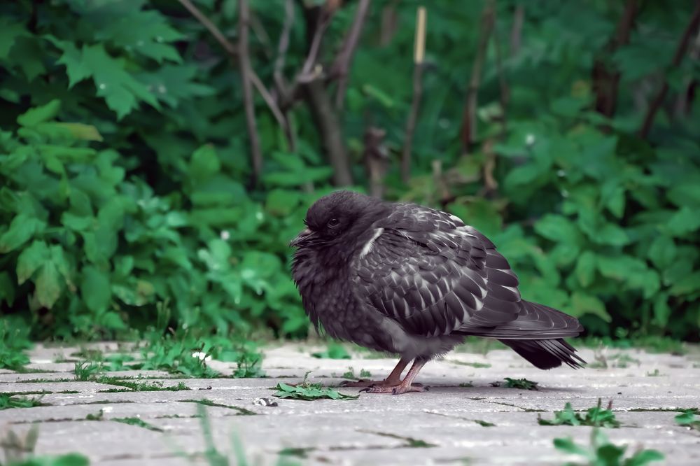 Photograph by Любовь Алексеева