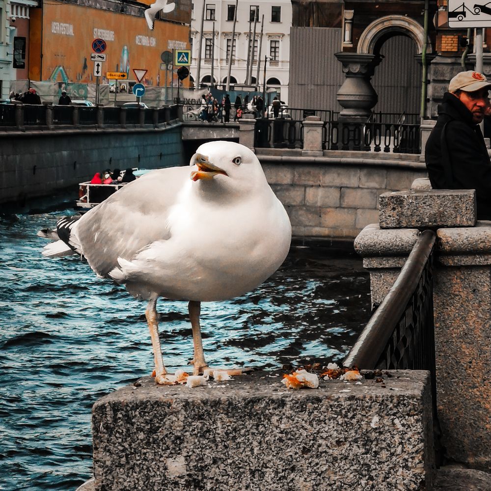 Photograph by Дьяченко Алёна