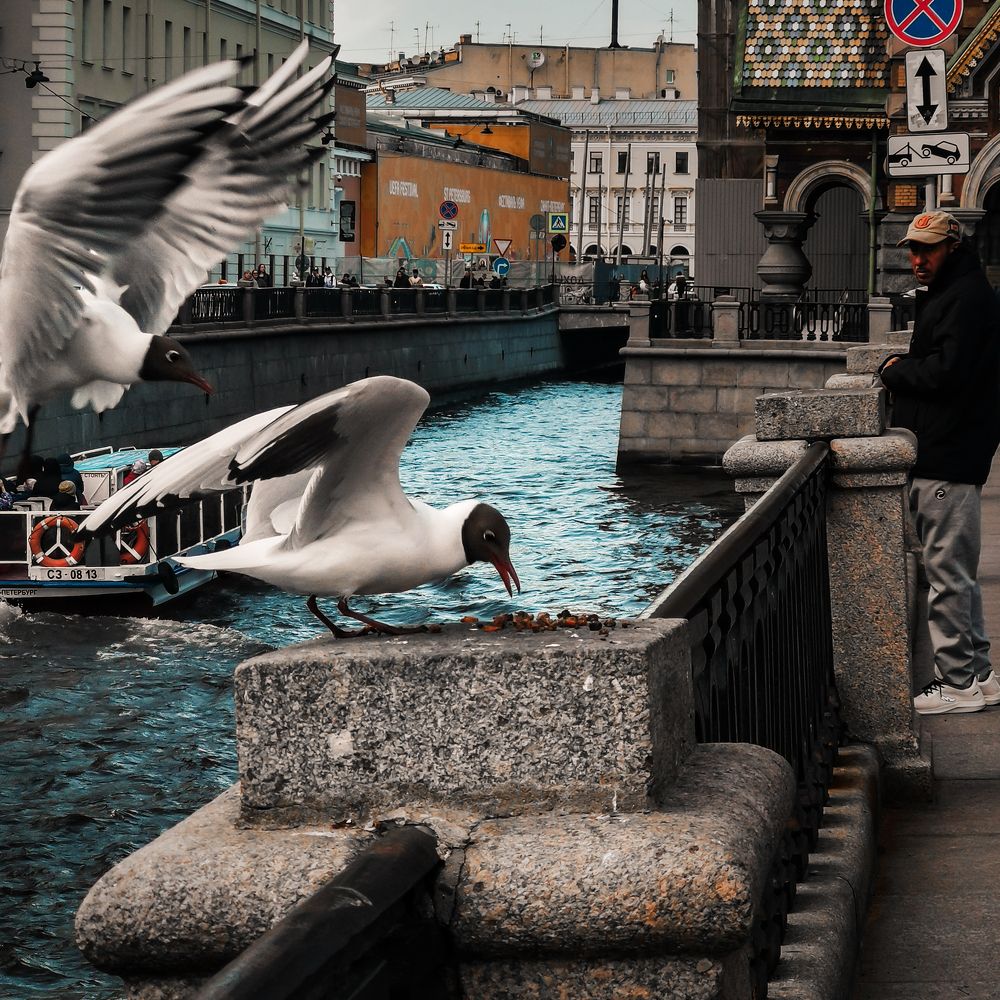 Photograph by Дьяченко Алёна