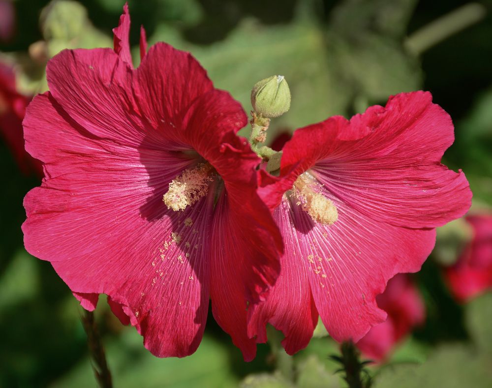 Photograph by Inna Ivanova