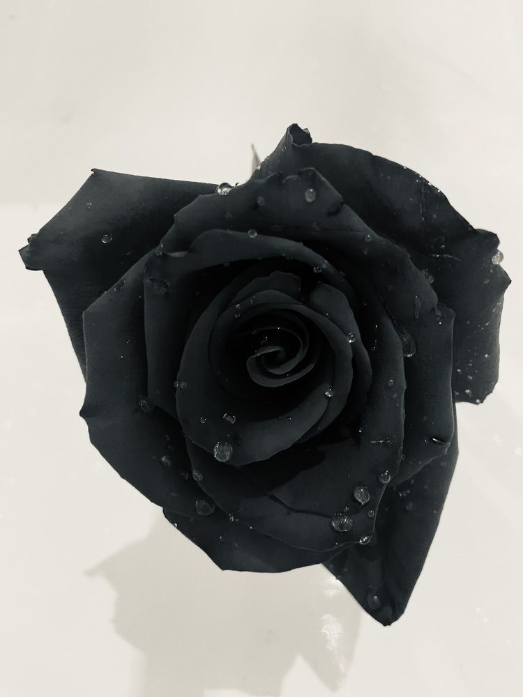 Photograph by Елена Мусина