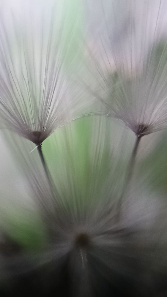 Photograph by Татьяна Пятернёва