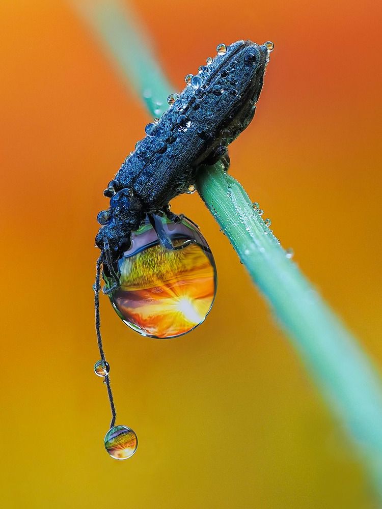 Photograph by Лукашук Евгений