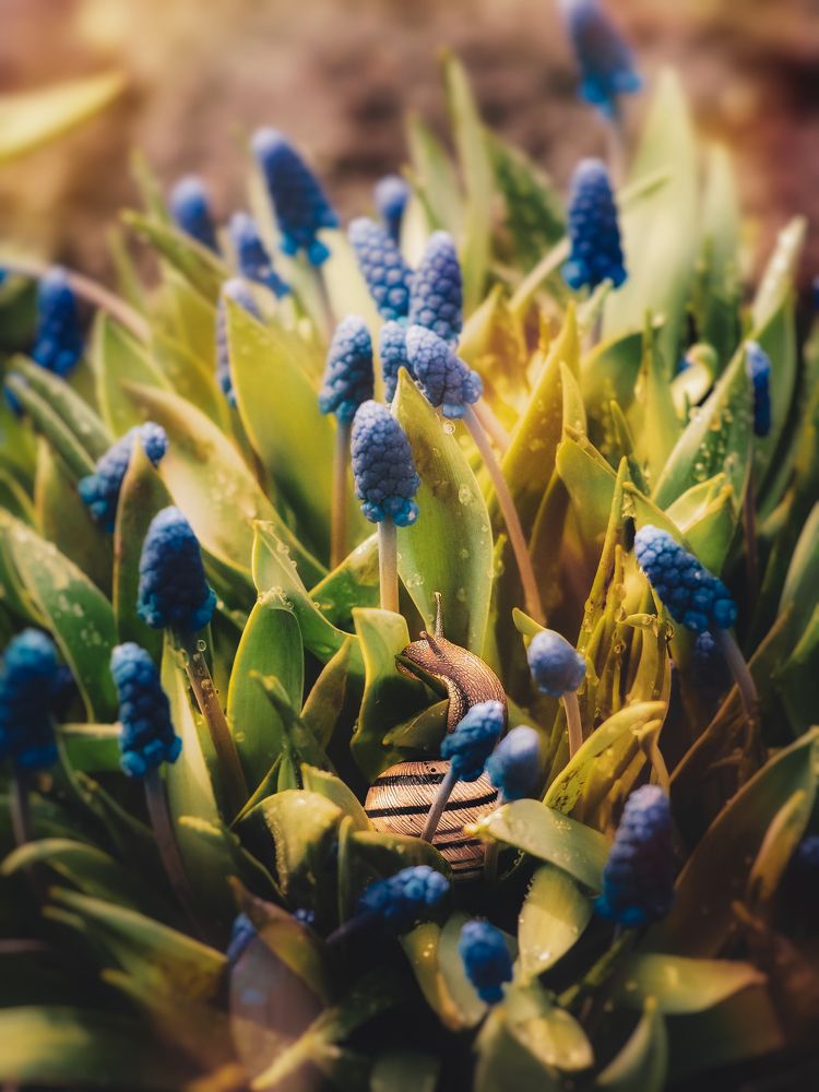 Photograph by Yuliya Karpova