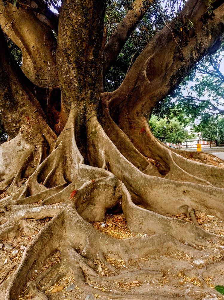 Фотография автора ANA  LIA