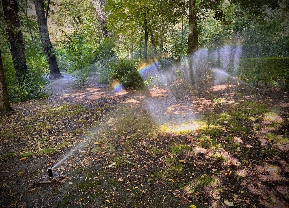 Photograph by Javier Subiza Garrido-Lestache