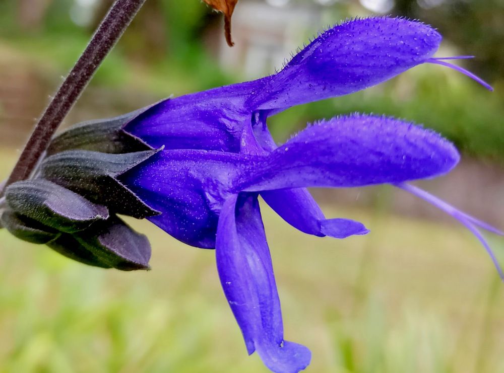 Фотография автора ANA  LIA