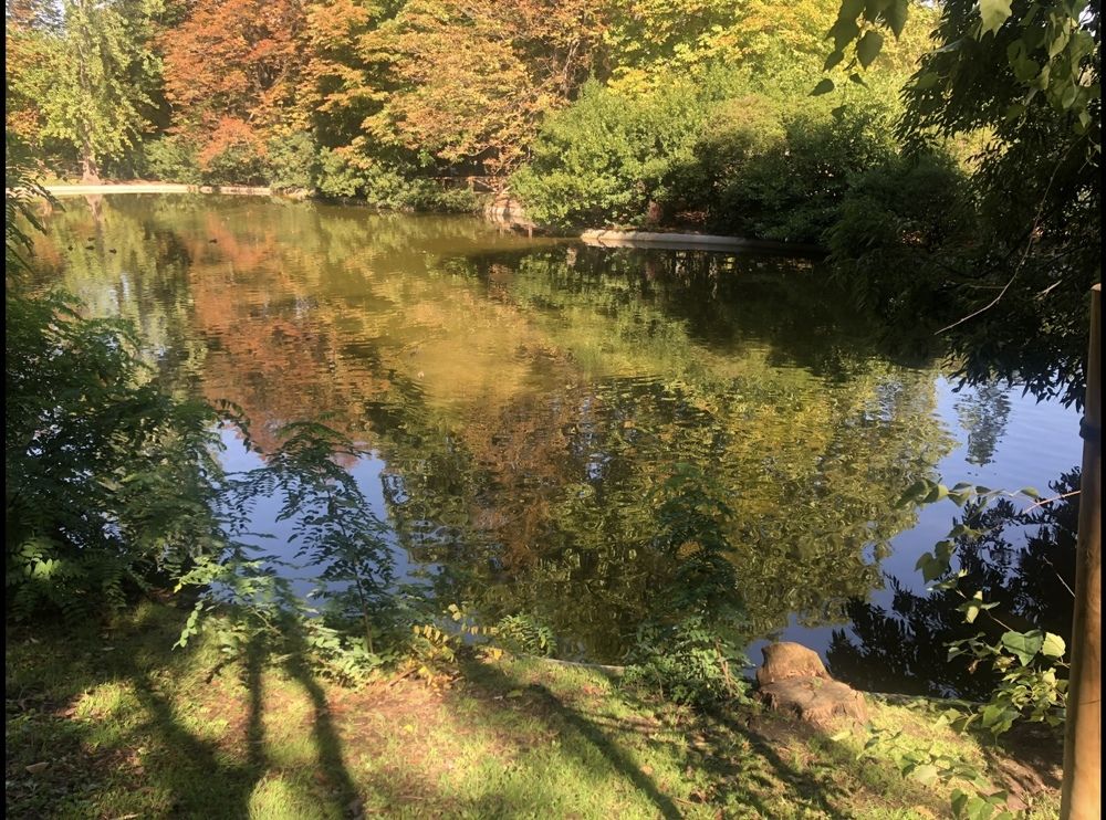 Photograph by Javier Subiza Garrido-Lestache