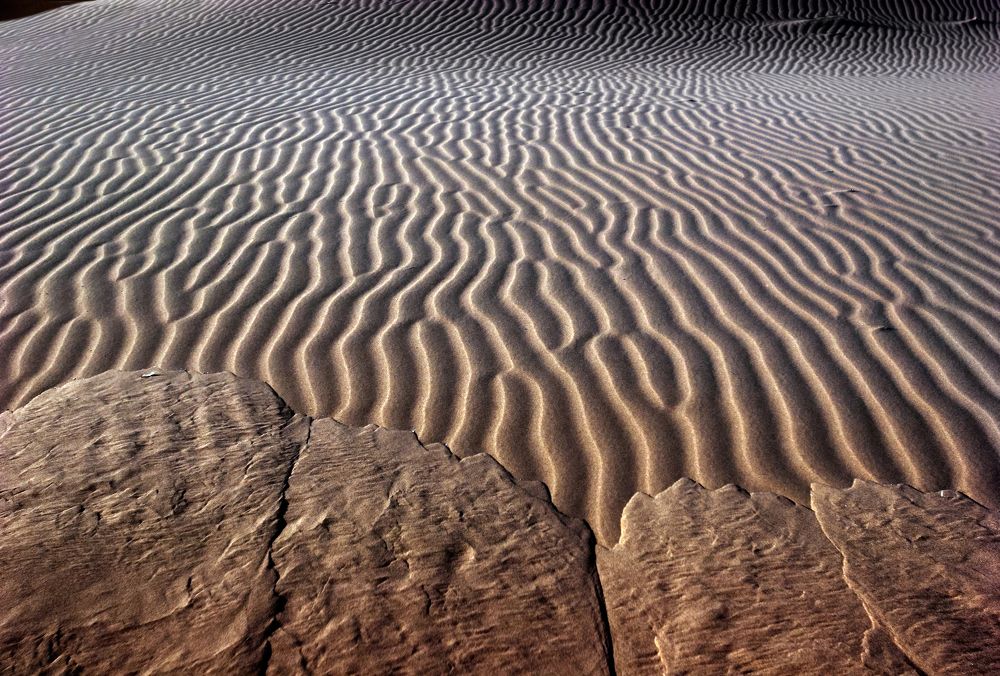 Фотография автора Dmitry Finkel