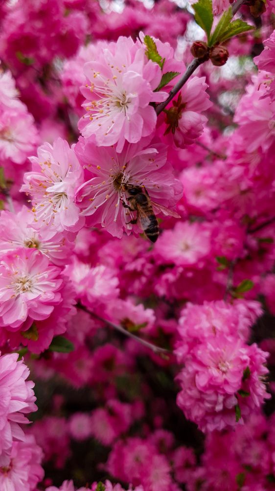Photograph by Дарья Целуйко