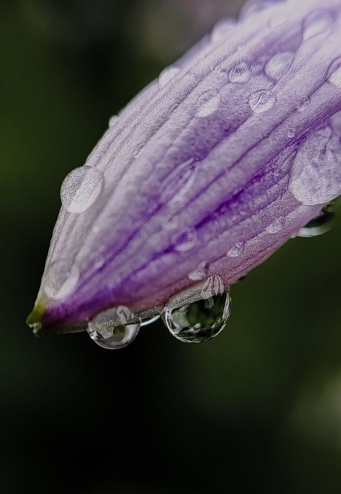 Фотография автора Юлия Якубова