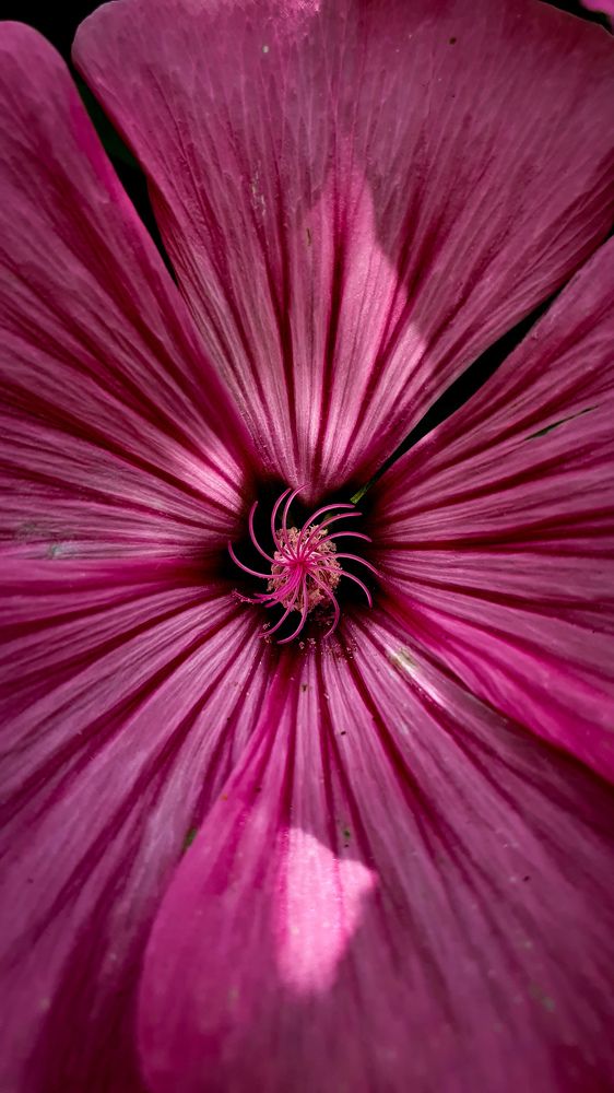 Photograph by Дарья Целуйко