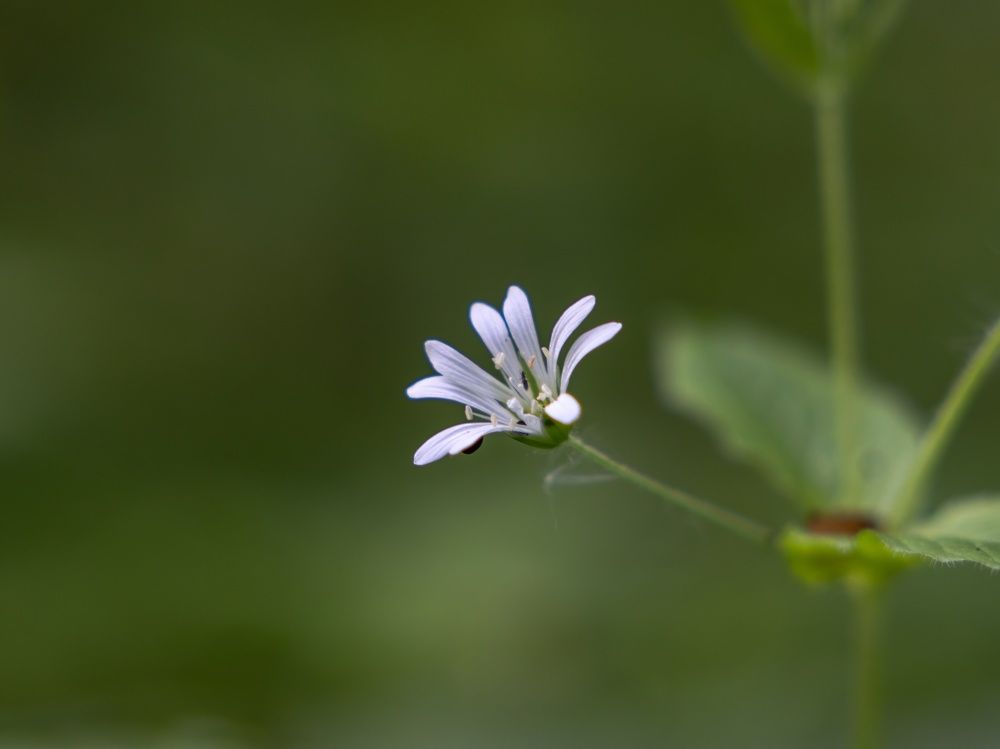 Photograph by Сергей Хабаров