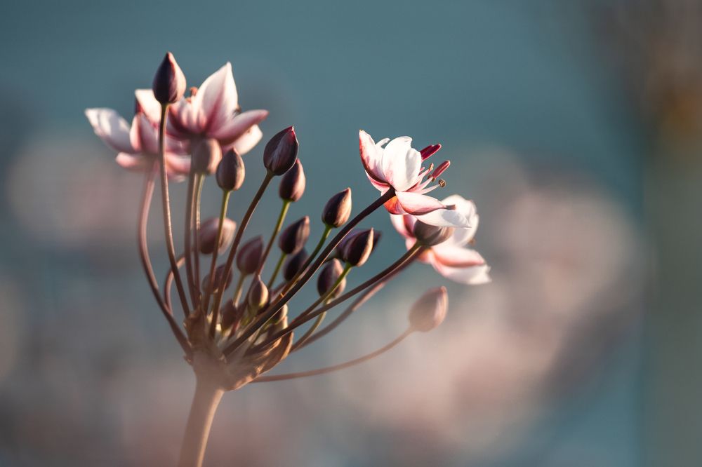 Photograph by Сергей Хабаров