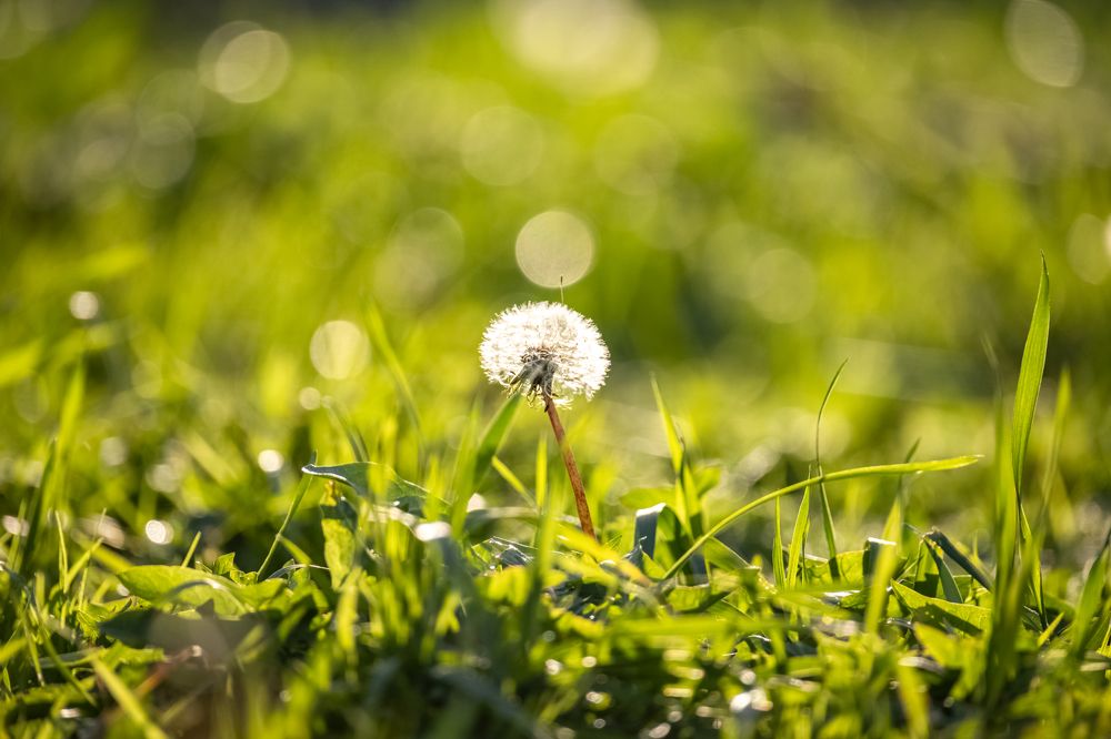 Photograph by Сергей Хабаров