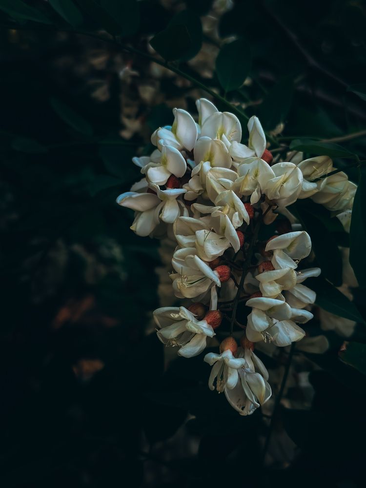 Photograph by Екатерина Нальгиева