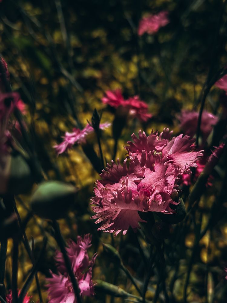 Photograph by Екатерина Нальгиева