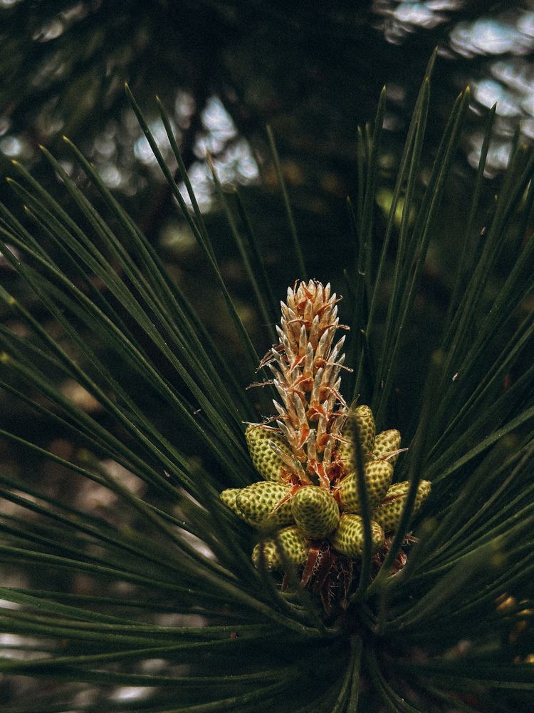 Photograph by Екатерина Нальгиева