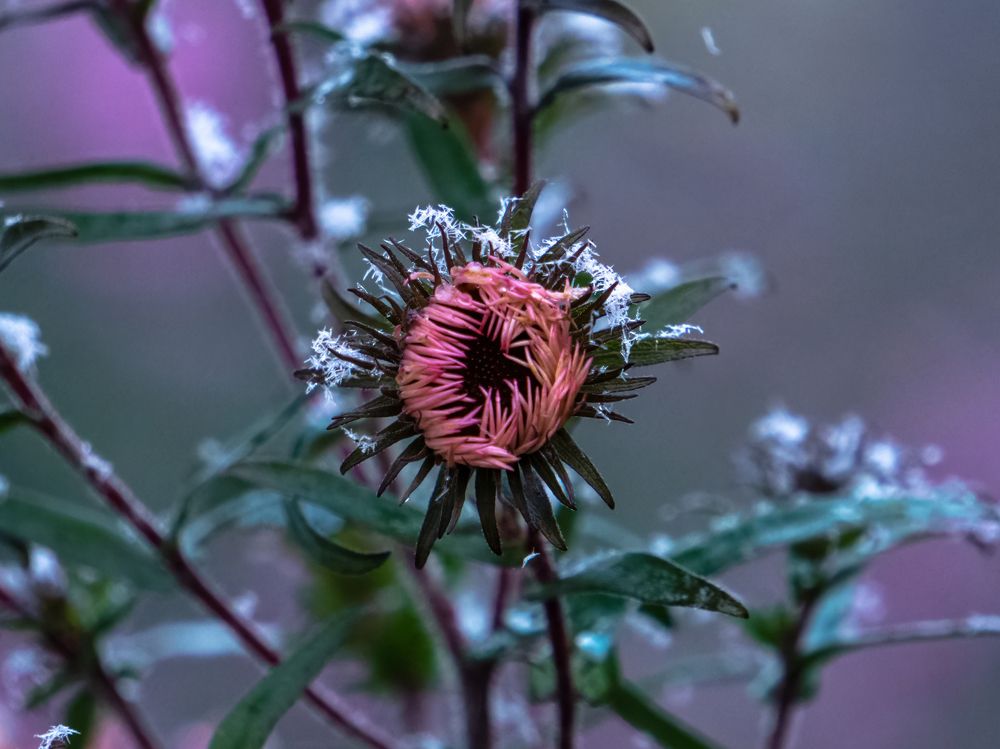 Photograph by Сергей Хабаров