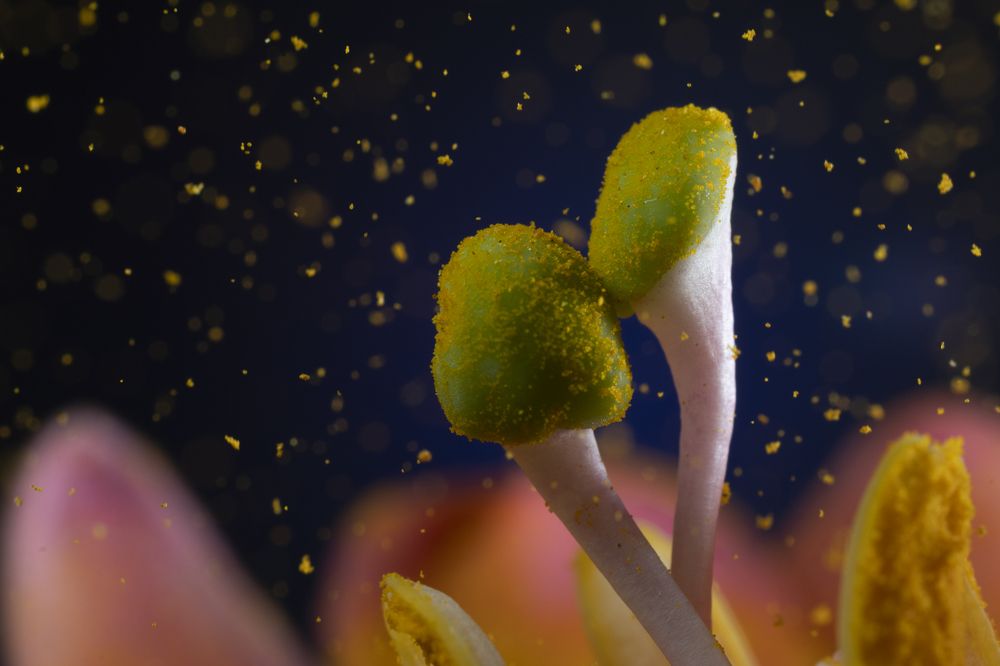 Photograph by Claudia Ruiz