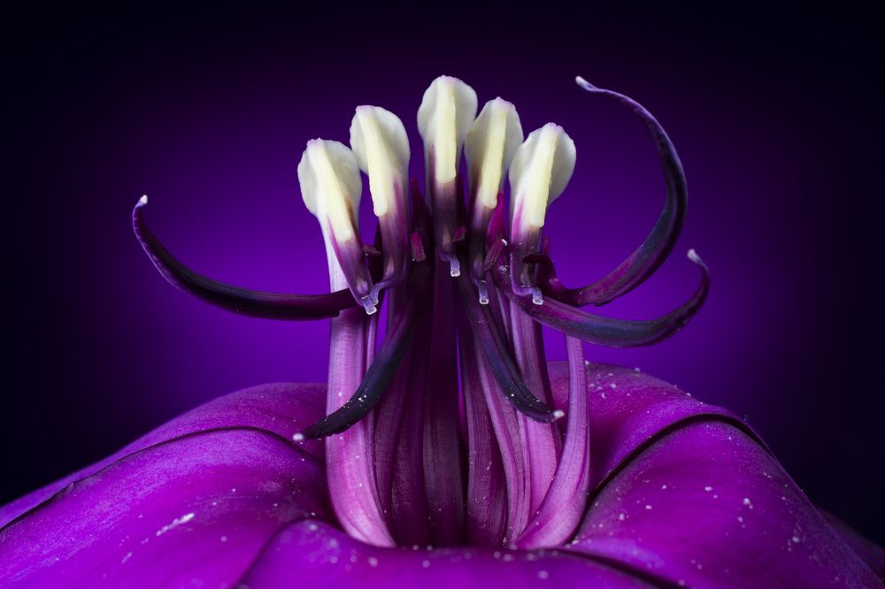 Photograph by Claudia Ruiz