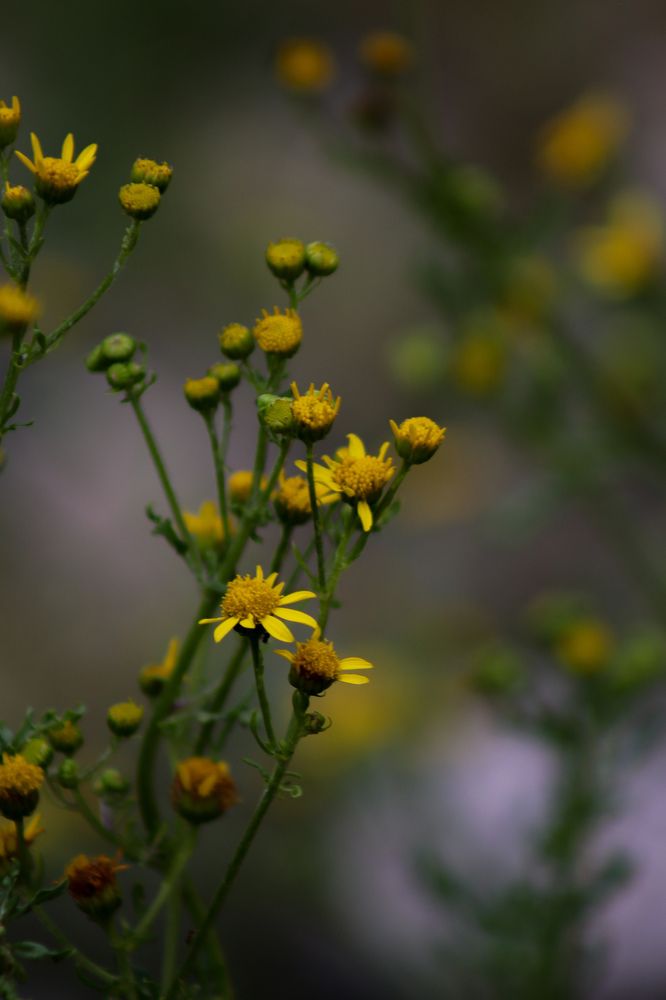 Photograph by Екатерина Нальгиева