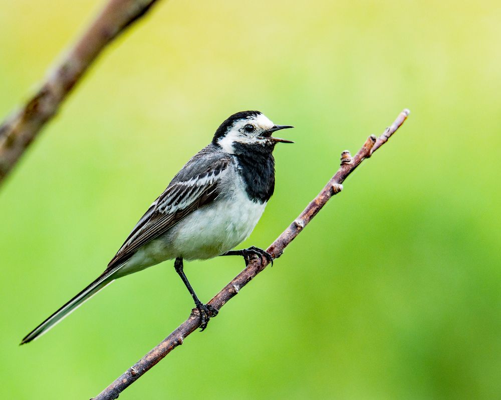 Photograph by Александр Козин