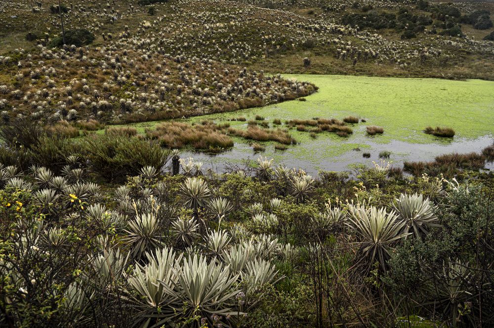 Photograph by Claudia Ruiz