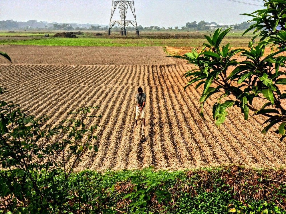 Photograph by Mohammed Rifatul Alam Siam