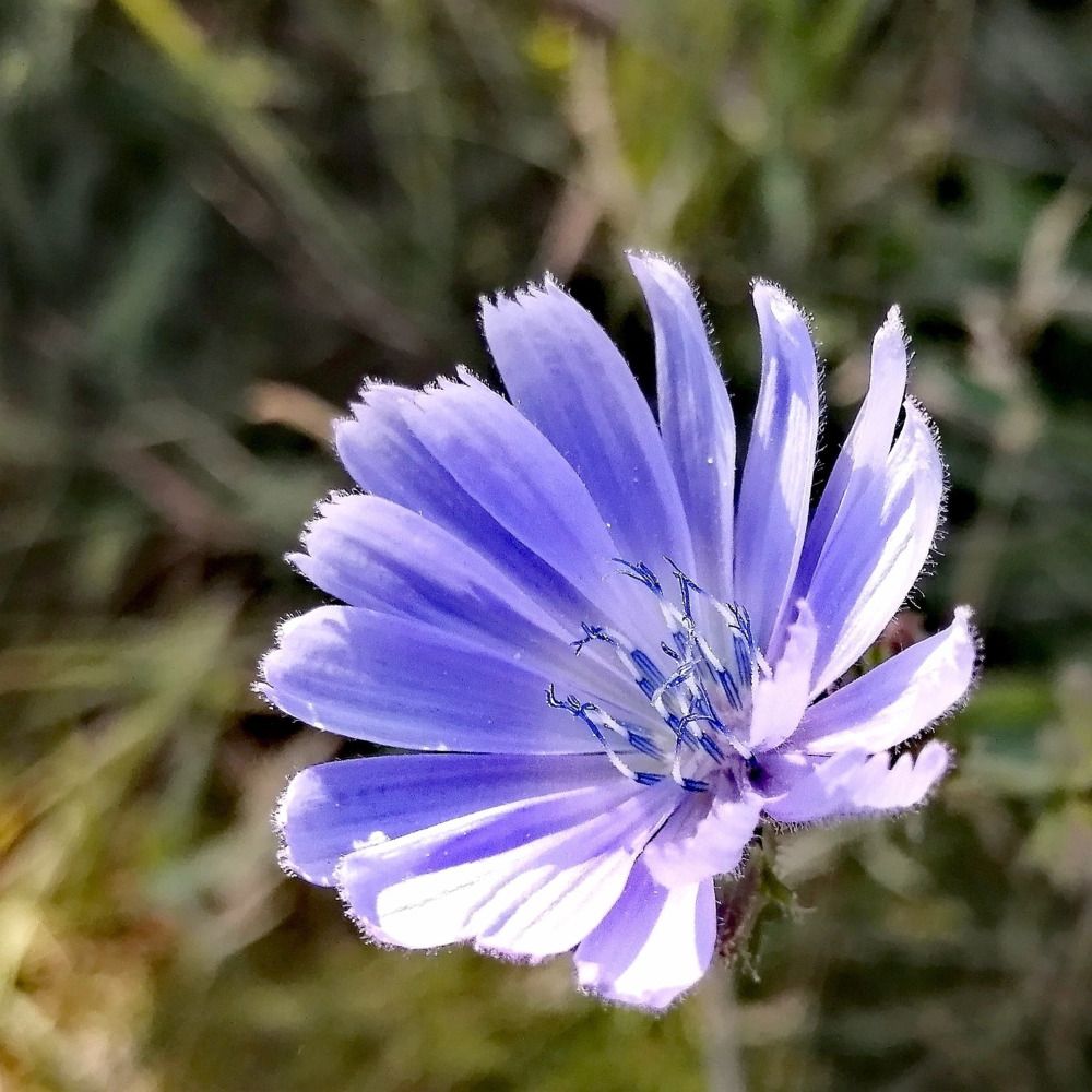 Photograph by Дмитрий Петренко