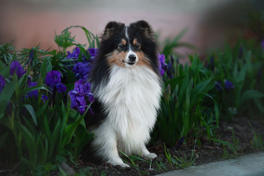 Photograph by СВЕТЛАНА ГРАЧЕВА