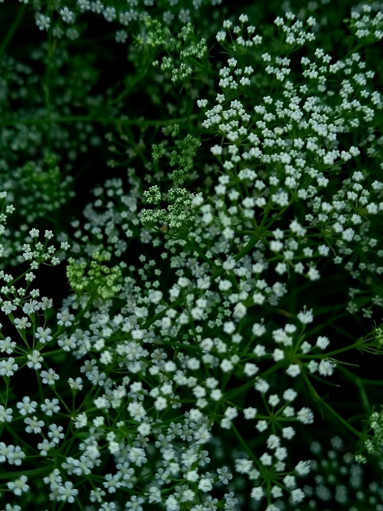 Photograph by Ирина Герлин